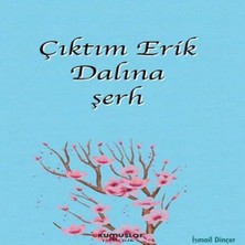 Uravas Store Çıktım Erik Dalına Şerh