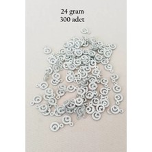 Royaleks Group Oya Abiye Bileklik Kolye Pleksi Metalik Plastik Pul Gümüş Renk 24 Gram 300 Adet - BNC576