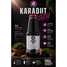 Eylülzade Karadut Özü Şeker Ilavesiz