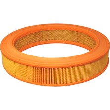 Filtron AR339 Hava Filtresi