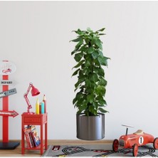 Saksılı Bitki Tasarımlı Yapışlı Sticker Resim 90*30 cm (5486)