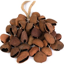 Sela Seed Shaker (4 Sıra) Pangi (Sesds3)