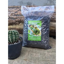 Toprağı 10 Lt Özel Karışım Sukulent Toprağı Aloe Vera Toprağı Kaktüs Harcı Teraryum Toprağı