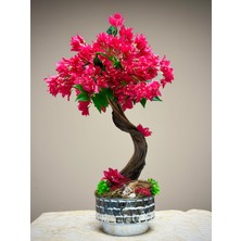 Begonvil Bonsai/ Metal Saksıda Şoklanmış Doğal Bonsai Gövdesi & Yapay Begonvil Çiçekli