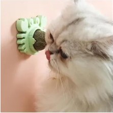 Ett Yengeç Kedi Otu Oyun Topu