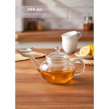 Jet's Home Mini Cam Demlik Şeffaf Süzgeçli Demlik Isıya Dayanıklı Bitki Çayı Demliği Borosilat 250 ml Çap 5.5