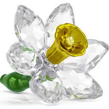 Swarovski Florere Nergis