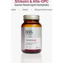 Cerebrax Nootropik Zihin Destek Kompleksi | Sitikolin Alpha Gpc | Odak Performans Desteği | Zihin & Hafıza Desteği Takviye Edici Gıda