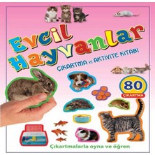 Uravas Store Evcil Hayvanlar - Çıkartma ve Aktivite Kitabı