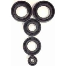 Yns Cg 125 Keçe Takımı 5 Li Set