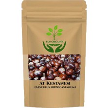 Tan Organik At Kestanesi (Aesculus Hippocastanum) 1 kg