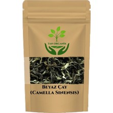 Tan Organik Beyaz Çay (Camella Sinensis) 225 gr