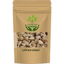 Tan Organik Çöven Kökü (Sabun Otu) 25 gr