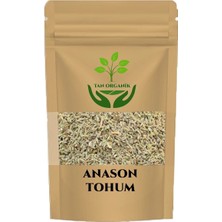 Tan Organik Anason (Pimpinella Anisum) Tohum 1 kg