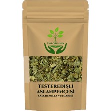 Tan Organik Aslan Pençesi Testeredişli 40 gr