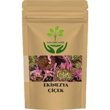 Tan Organik Ekinezya (Echinacea Purpurea) Çiçek 1 kg