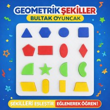 Antiola 16 Parça Bultak Eğitici Geometrik Şekiller, Eşleştirme Oyuncağı, 16X16 Cm, Plastik