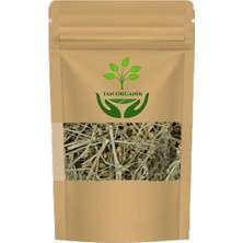 Tan Organik Pelin Otu (Artemisia Absinthium) 1 kg