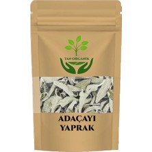Tan Organik Adaçayı (Salvia Officinalis) Yaprak 225 gr