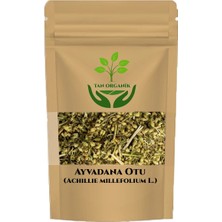 Tan Organik Ayvadana Otu (Civanperçemi) 225 gr