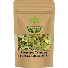 Tan Organik Avokado (Persea Americana) Yaprağı 1 kg