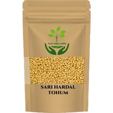 Tan Organik Sarı Hardal Tohumu Sarı 25 gr