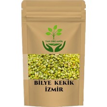 Tan Organik Kekik Bilye Top (Thymus Vulgaris) 1 kg