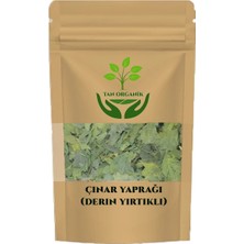 Tan Organik Çınar Yaprağı Derin Yırtıklı 40 gr