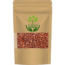 Tan Organik Turp Tohumu Kara 225 gr