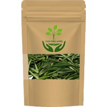 Tan Organik Zeytin Yaprağı (Olea Europaea) 1 kg