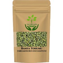 Tan Organik Bamya (Abelmoschus Esculentus) Tohumu 225 gr