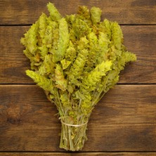 Tan Organik Akdeniz Adaçayı (Salvia Officinalis) Anamur Demet 5AD