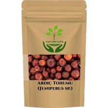 Tan Organik Ardıç (Juniperus Communis) Tohumu Kırmızı 40 gr