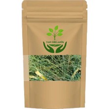 Tan Organik At Kuyruğu (Equisetum Arvense) (Kırkkilit Otu) 225 gr