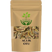 Tan Organik Açlık Otu (Deve Gözü Otu) 75 gr