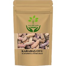 Tan Organik Karabaş Otu 1 kg