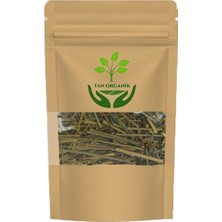 Tan Organik Kayış Kıran Otu 225 gr