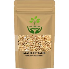 Tan Organik Mahlep Tane 75 gr
