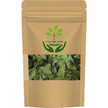 Tan Organik Sidr Sidir Arabistan Kirazı Ağacı Yaprağı 75 gr