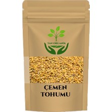 Tan Organik Çemen (Trigonella Foenum-Graecum) Otu Tohumu 1 kg