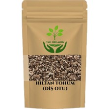 Tan Organik Hıltan Tohumu (Diş Otu) 1 kg