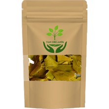 Tan Organik Ginko Biloba Yaprağı (Mabet Ağacı) 40 gr