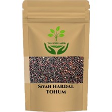 Tan Organik Siyah Hardal Tohumu (Kara Hardal) 225 gr