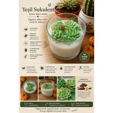 Elasu 300 cc Soya Wax Mum – Vanilya & Çikolata Esanslı Yeşil Sukulent Tasarım