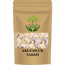 Tan Organik Akgünlük Sakızı (Boswellia Serrata) 75 gr