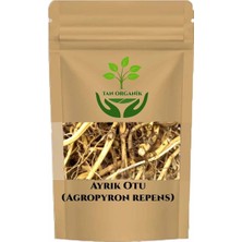 Tan Organik Ayrık Otu Kökü 40 gr