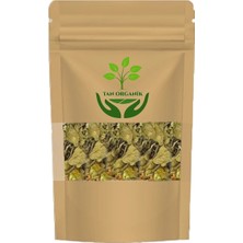 Tan Organik Gimneya Yaprak (Cinnema Gurmar) 40 gr