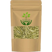 Tan Organik Yulaf (Avena Sativa) Samanı Yeşil Kurutulmuş 1 kg