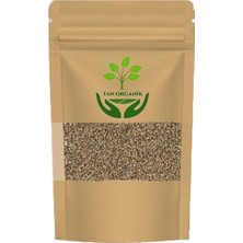 Tan Organik Maydanoz Tohumu 40 gr