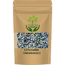 Tan Organik Çitlembik Menengiç-Çitlenbik 75 gr